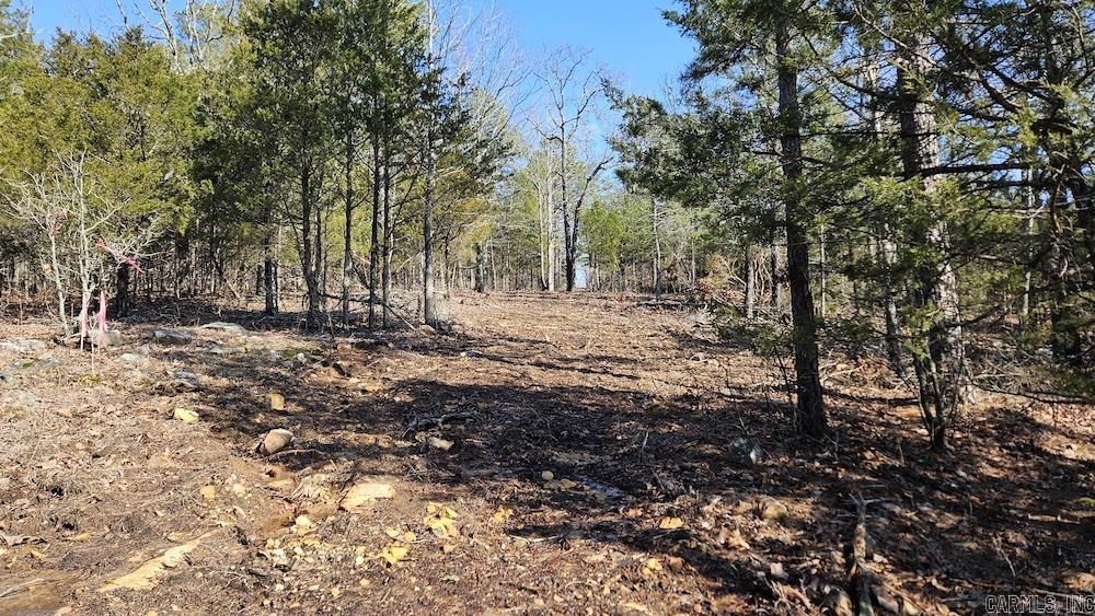 Tract B  Rocky Road  Bradford, AR