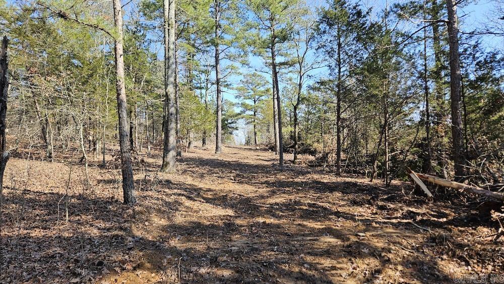 Tract B  Rocky Road  Bradford, AR