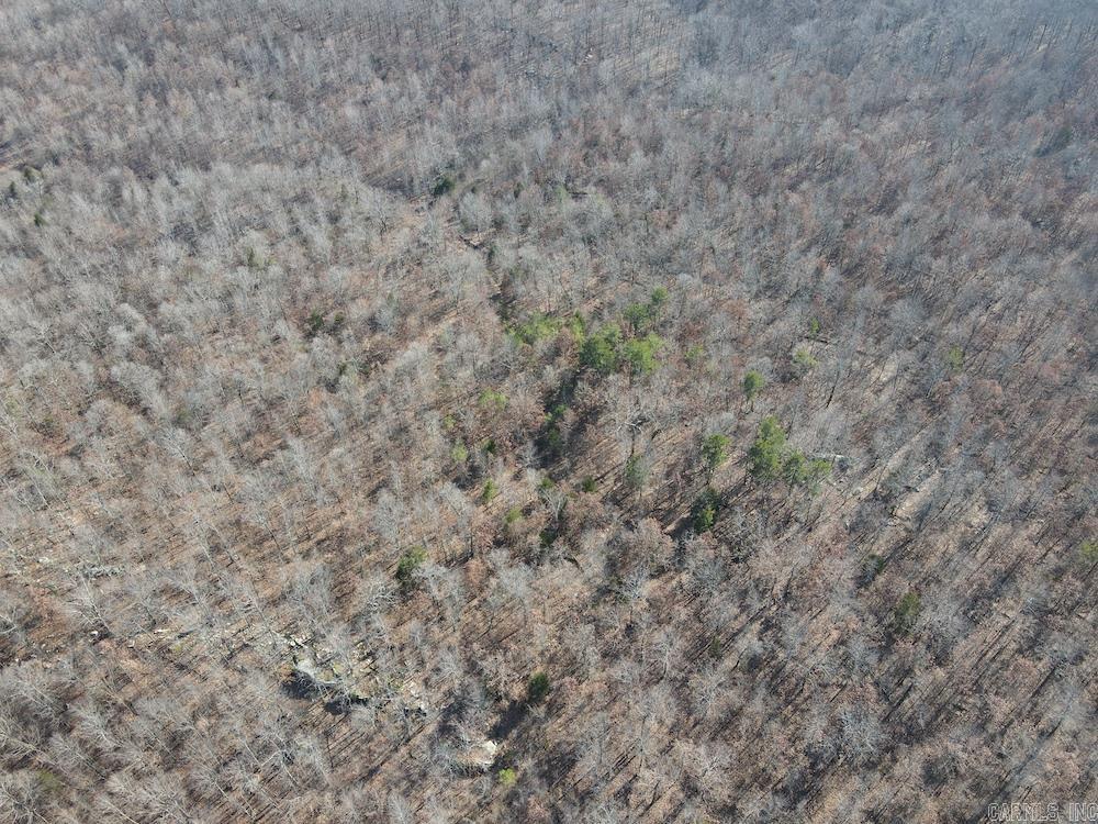 Tract B  Rocky Road  Bradford, AR