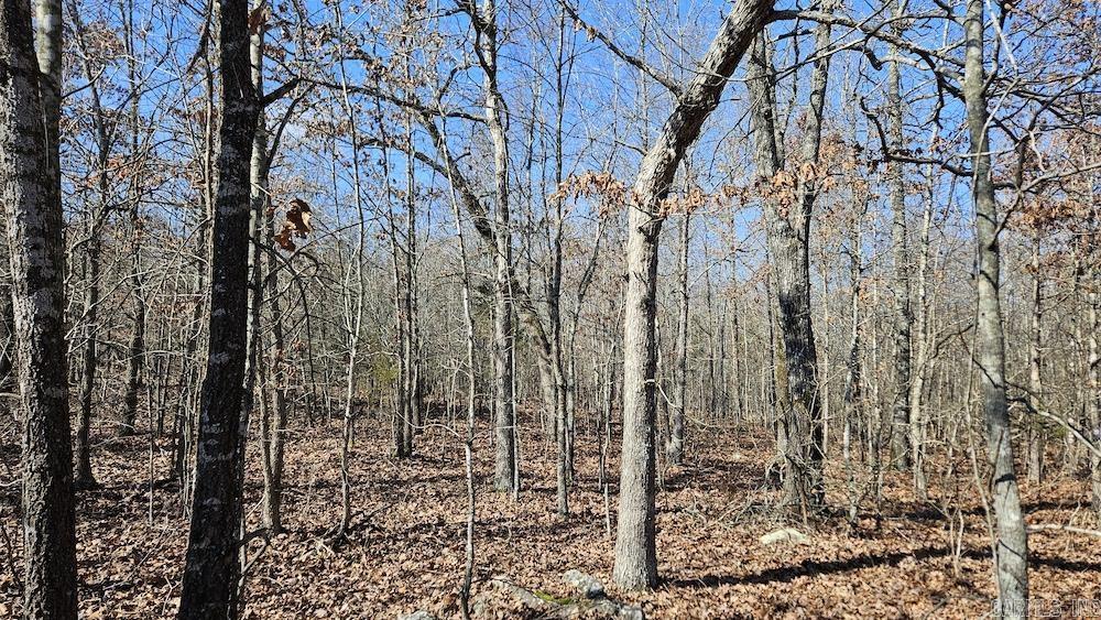 Tract B  Rocky Road  Bradford, AR