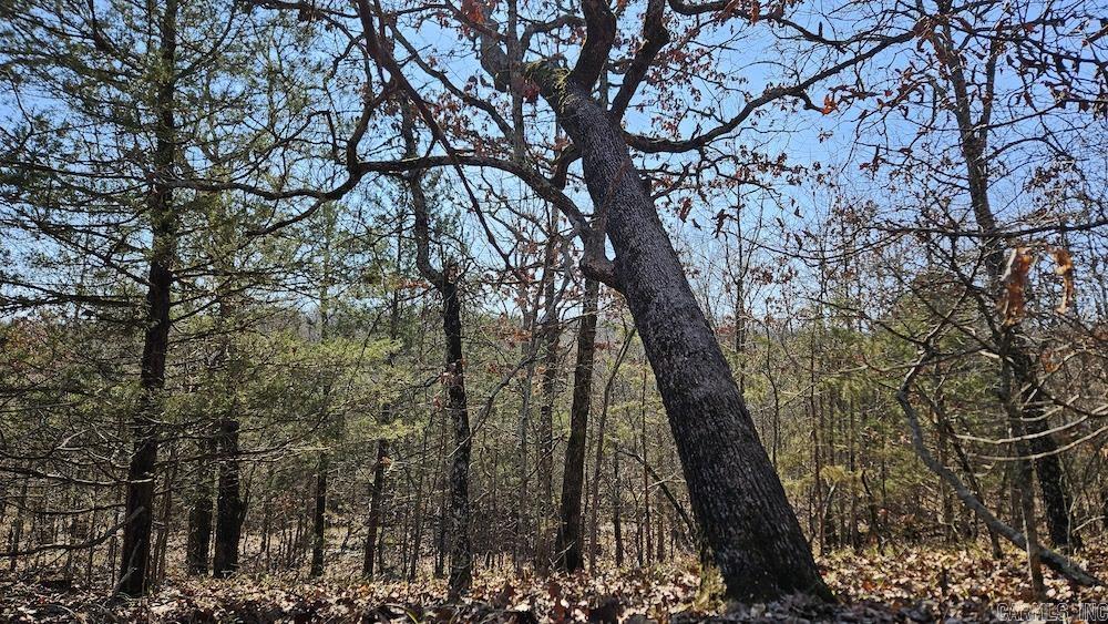 Tract B  Rocky Road  Bradford, AR
