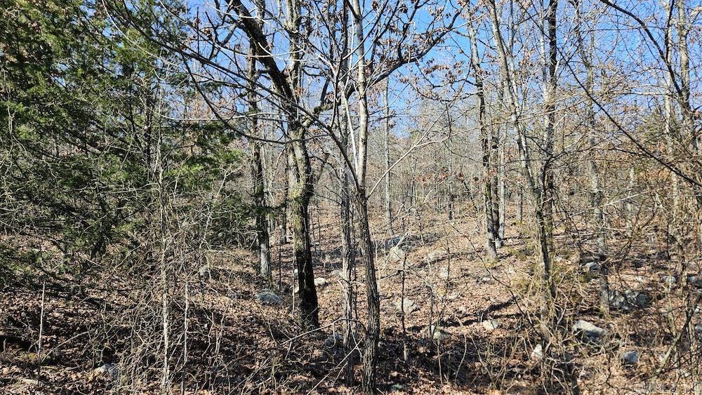 Tract A Rocky Road  Bradford, AR