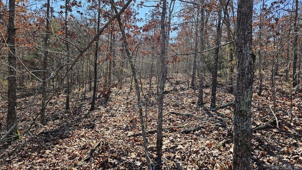 Tract A Rocky Road  Bradford, AR