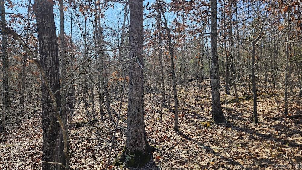 Tract A Rocky Road  Bradford, AR