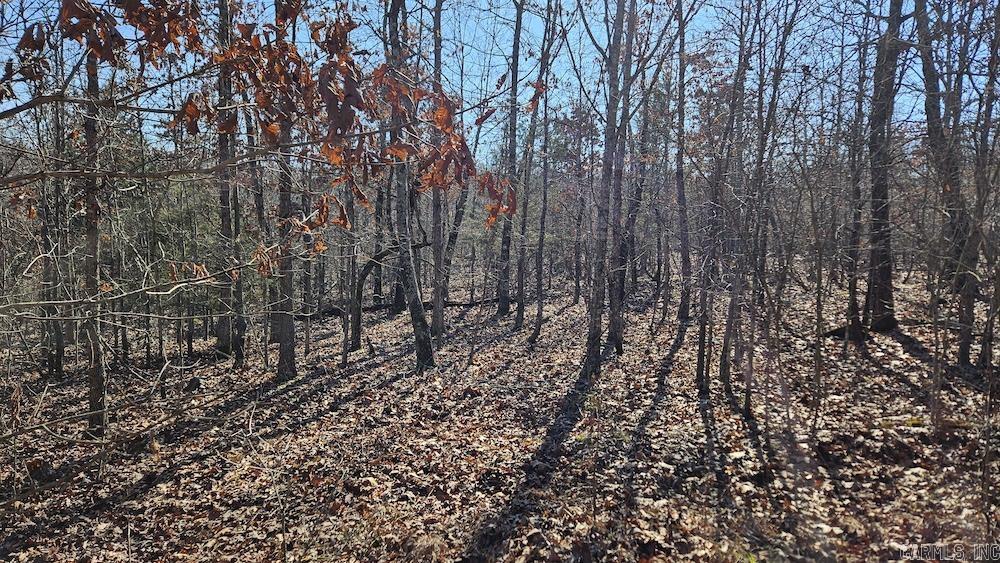 Tract A Rocky Road  Bradford, AR