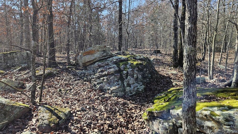 Tract A Rocky Road  Bradford, AR
