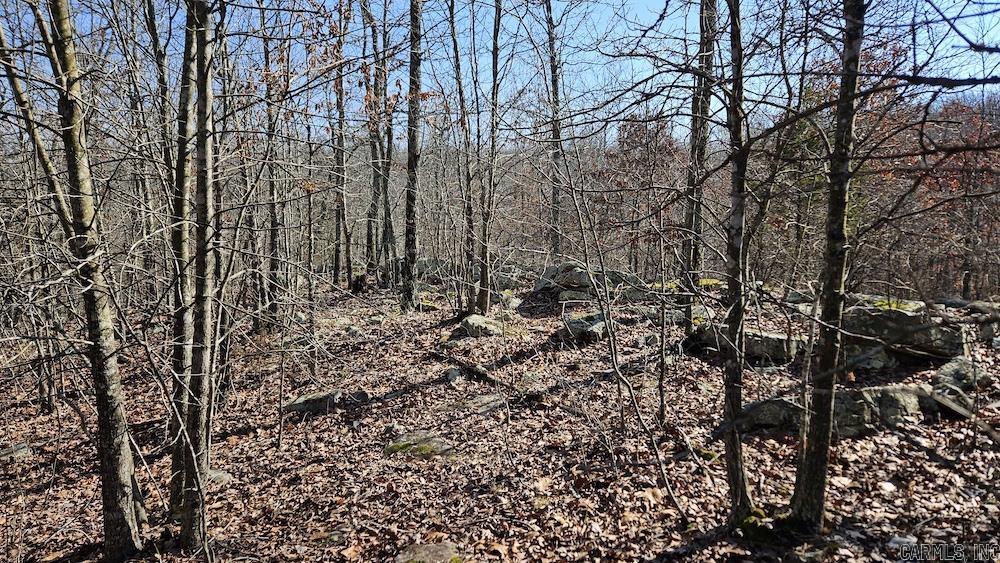 Tract A Rocky Road  Bradford, AR