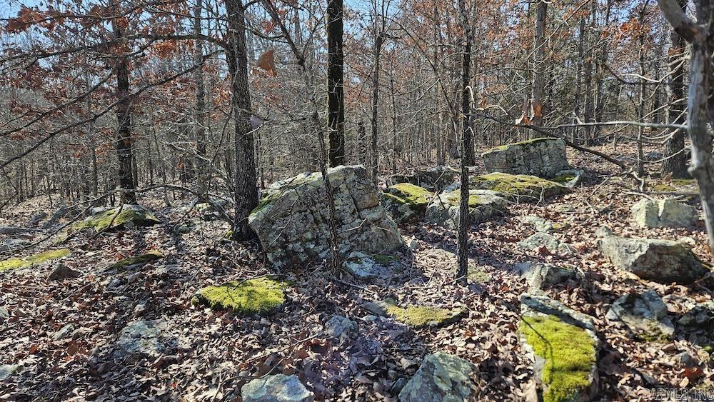 Tract A Rocky Road  Bradford, AR