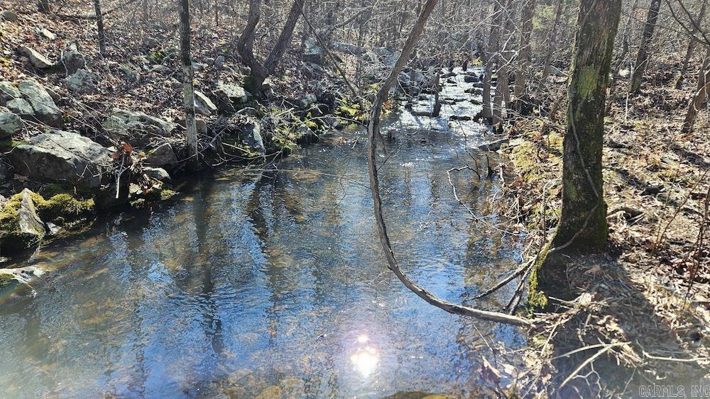 Tract A Rocky Road  Bradford, AR