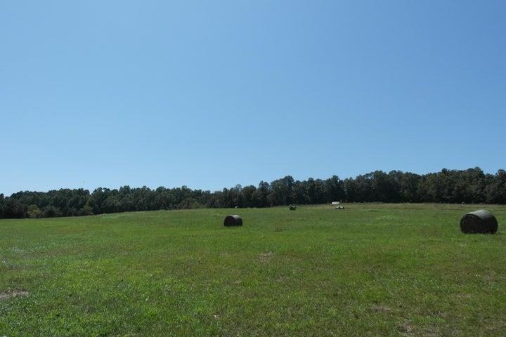 000  Highway 142  Couch, MO