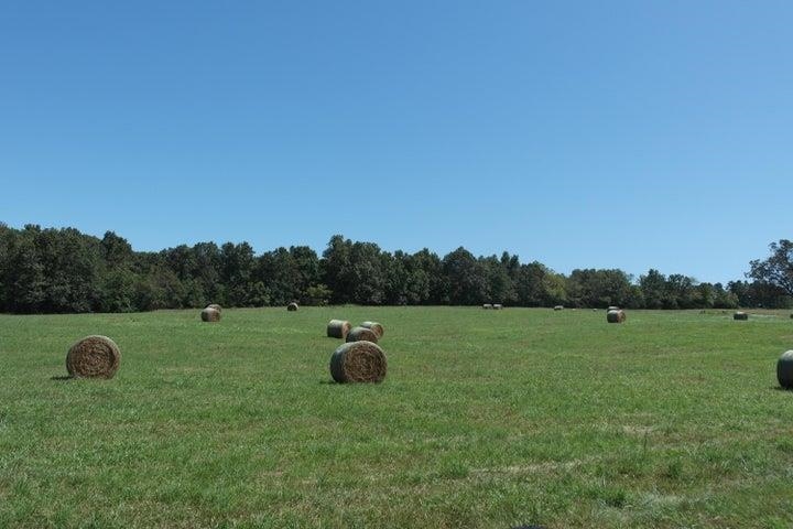 000  Highway 142  Couch, MO