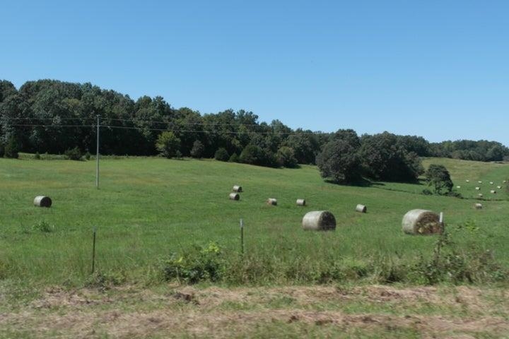 000  Highway 142  Couch, MO