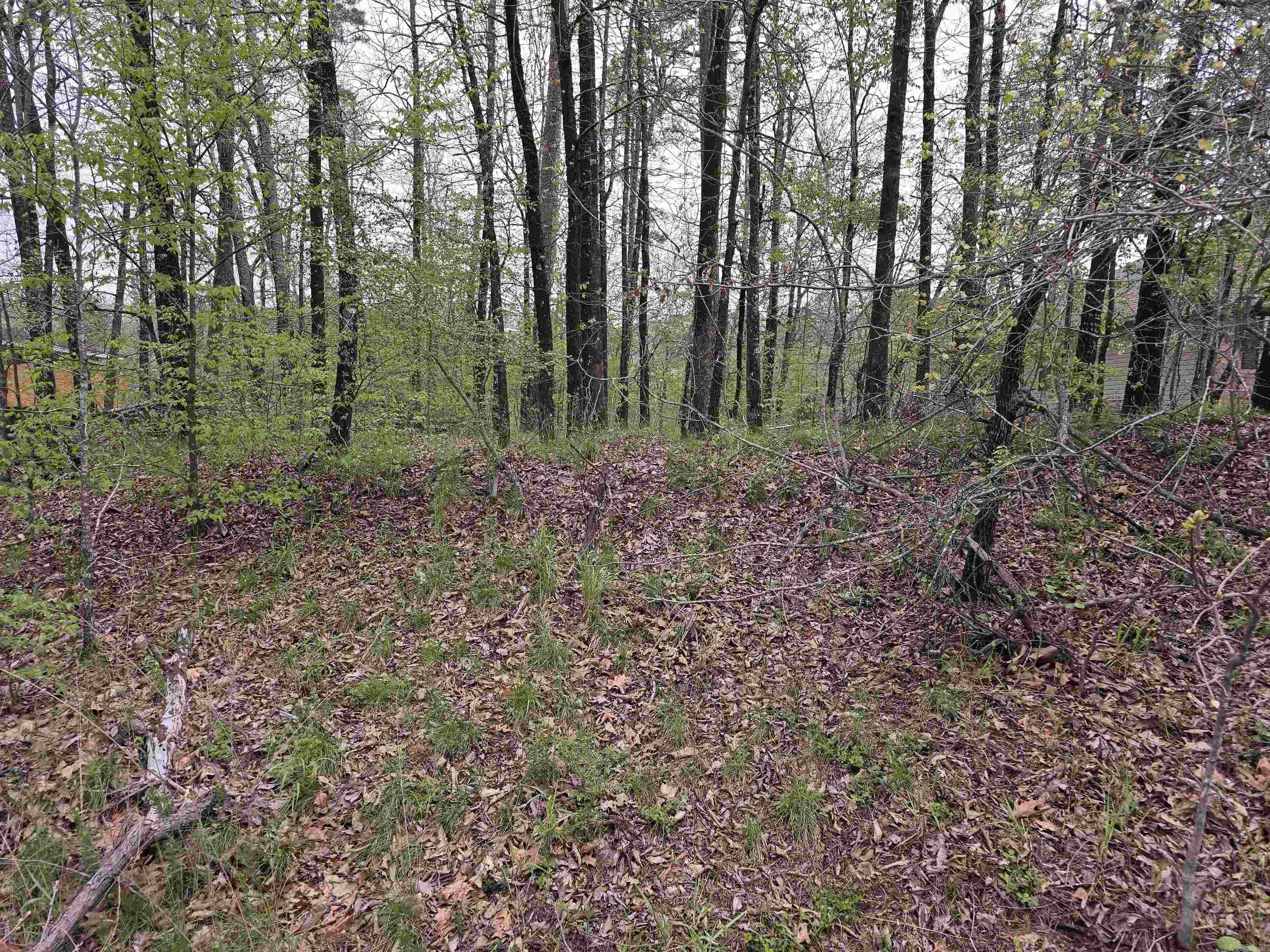 Lot 152  Spyglass  Hot Springs, AR