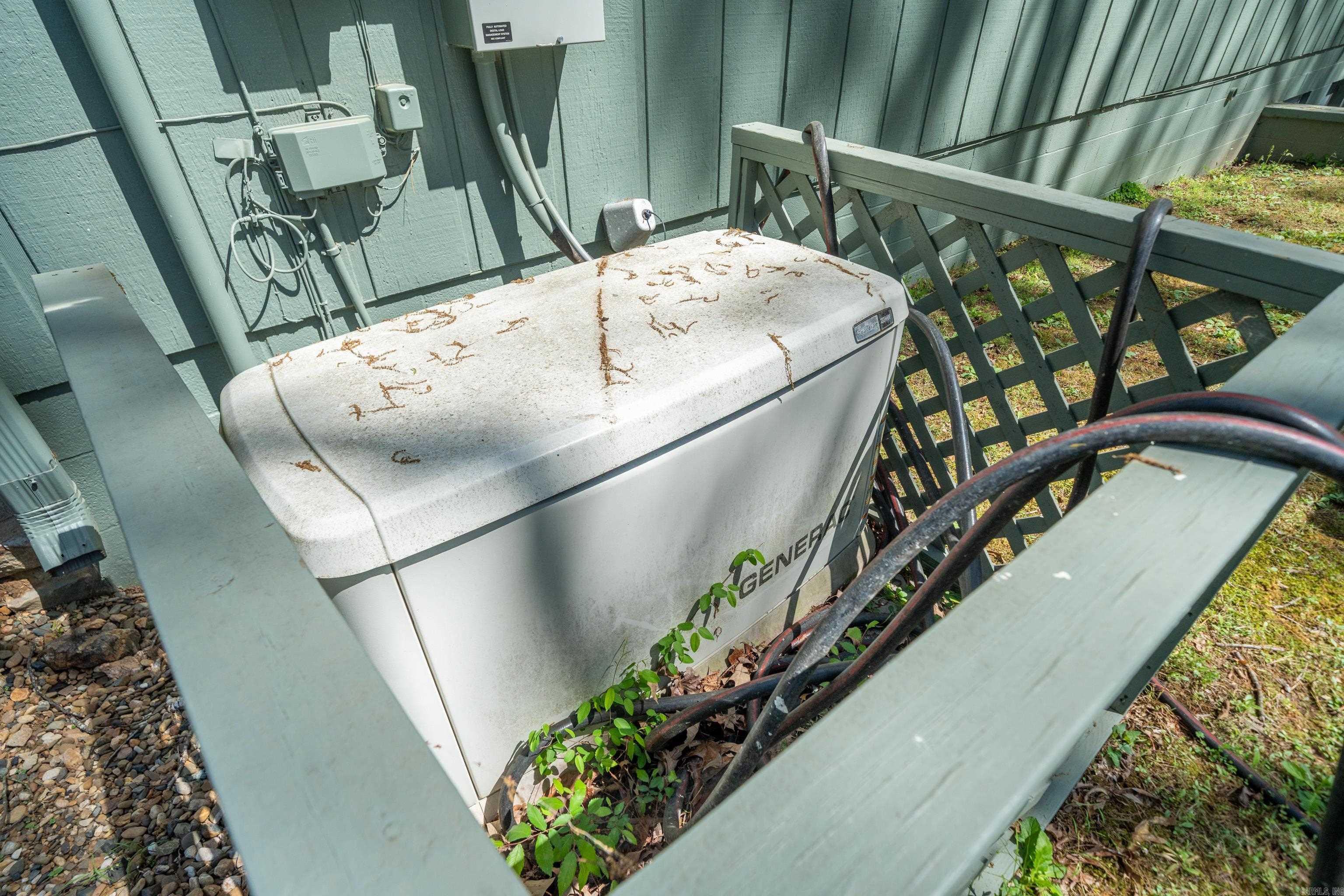 43  Memory Layne  Mount Ida, AR