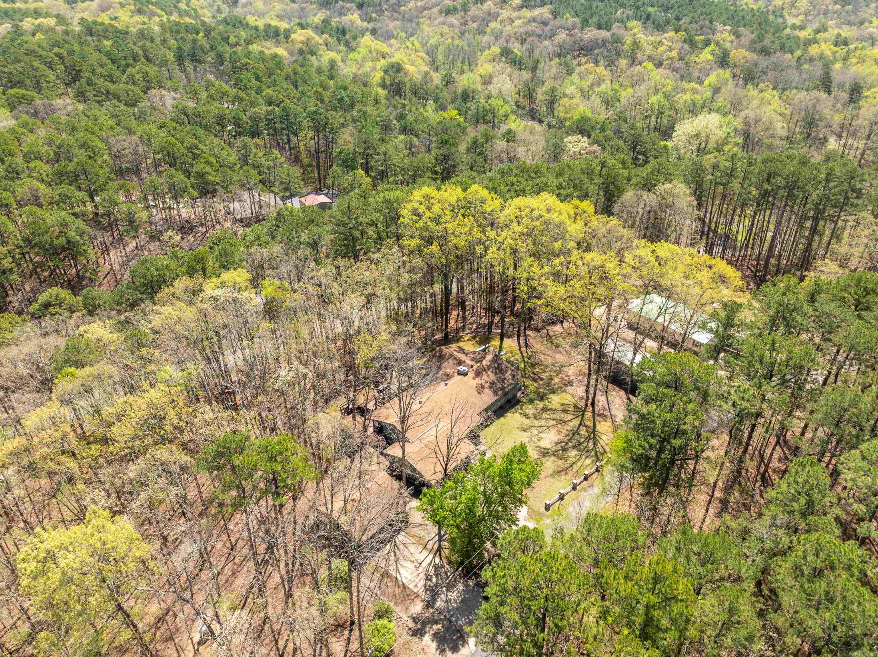 43  Memory Layne  Mount Ida, AR