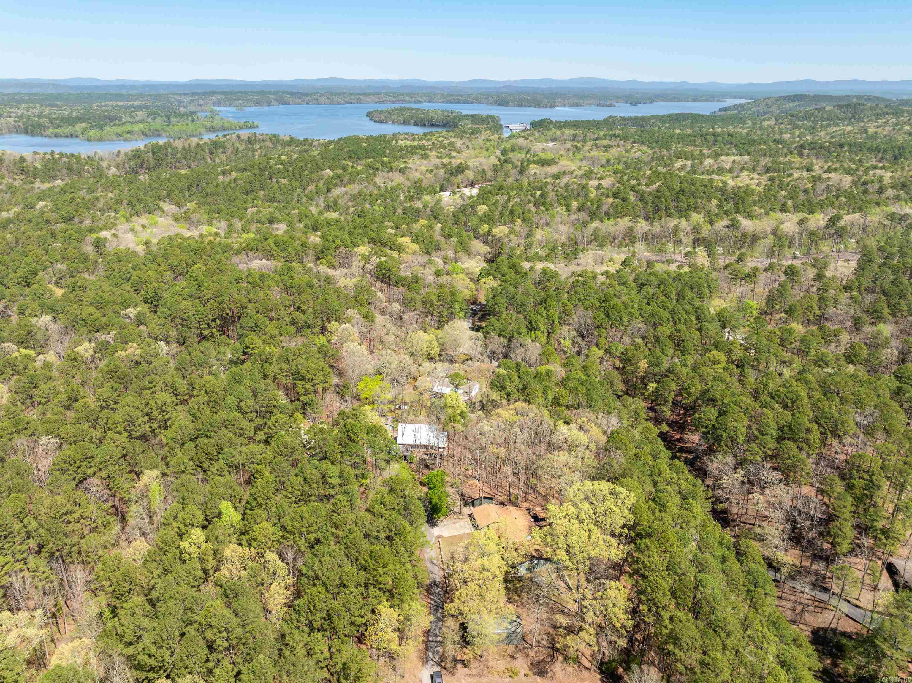43  Memory Layne  Mount Ida, AR