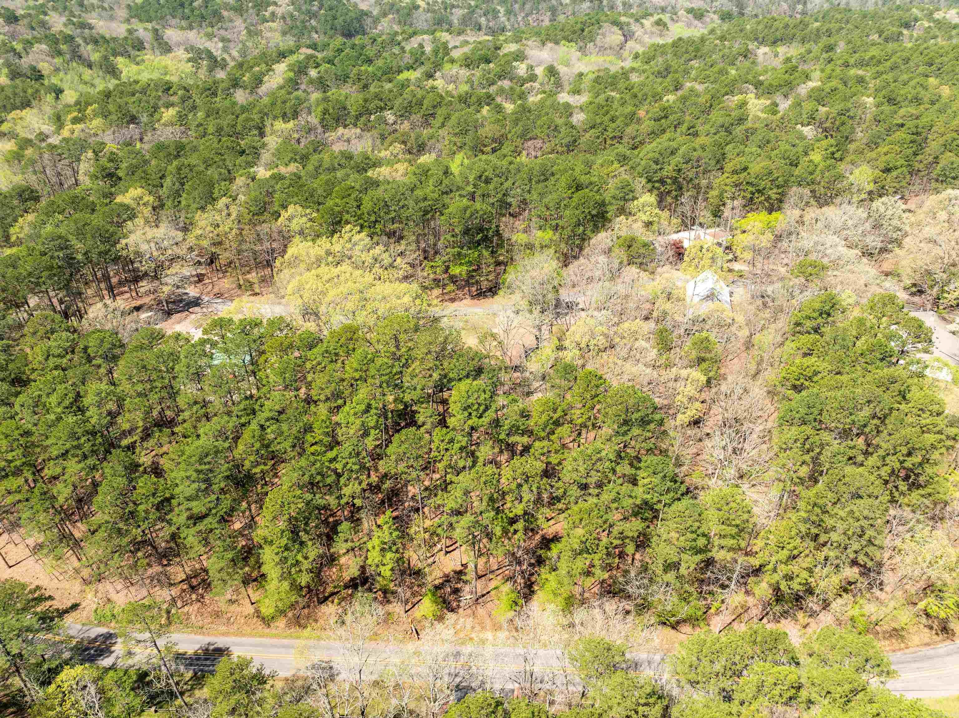 43  Memory Layne  Mount Ida, AR