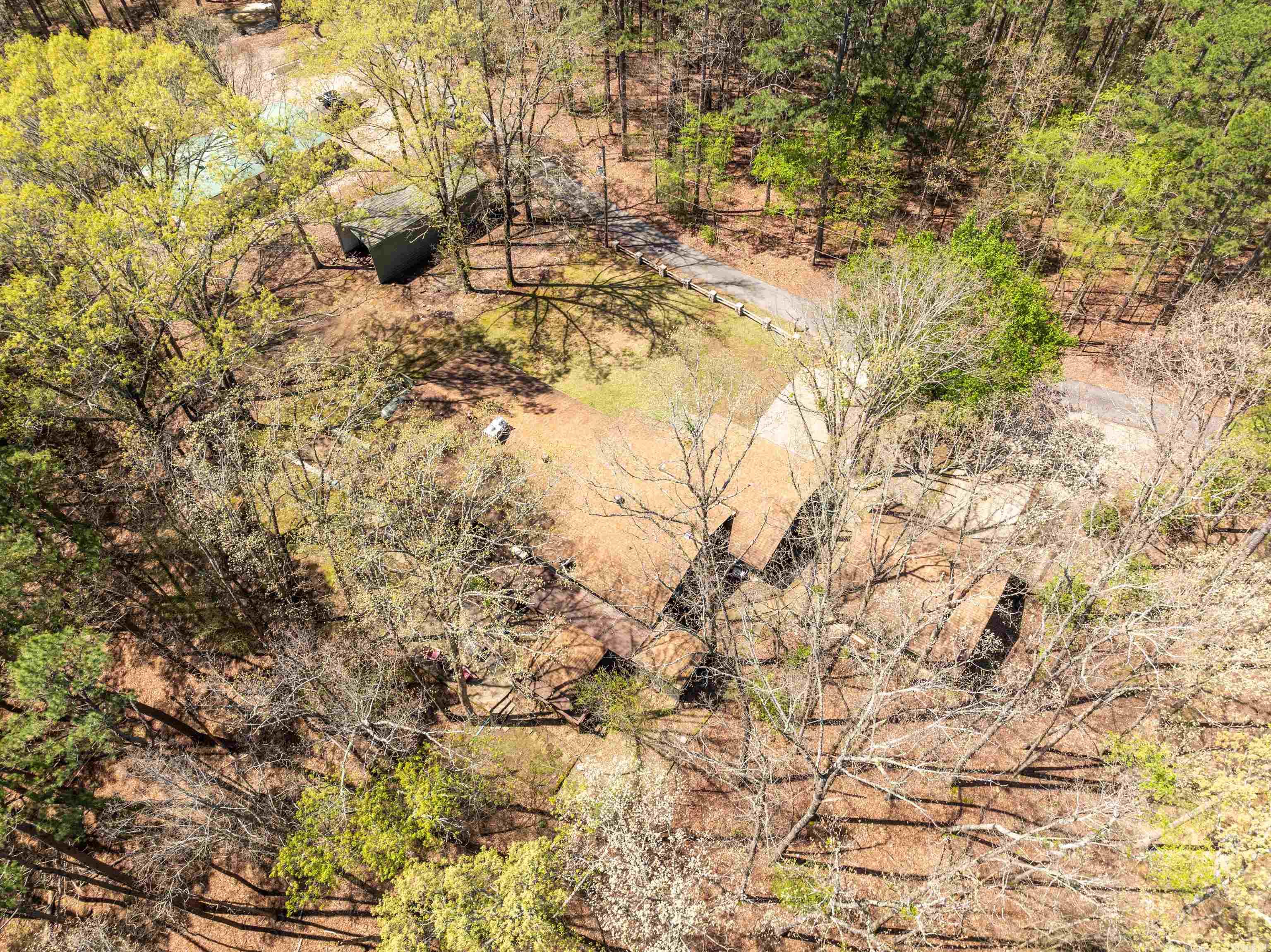 43  Memory Layne  Mount Ida, AR