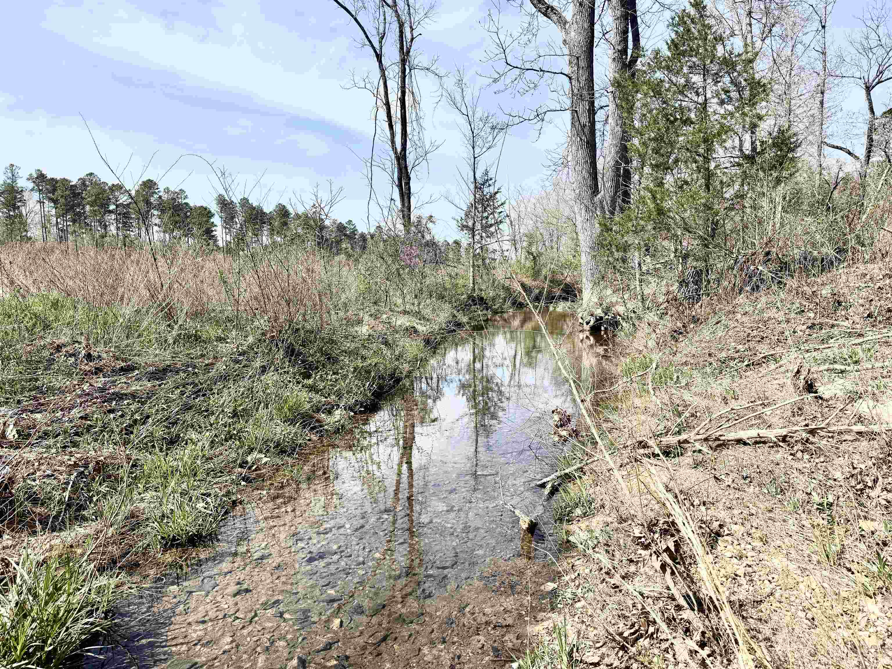 1433 Chapel Hill Road Brockwell, AR 72517