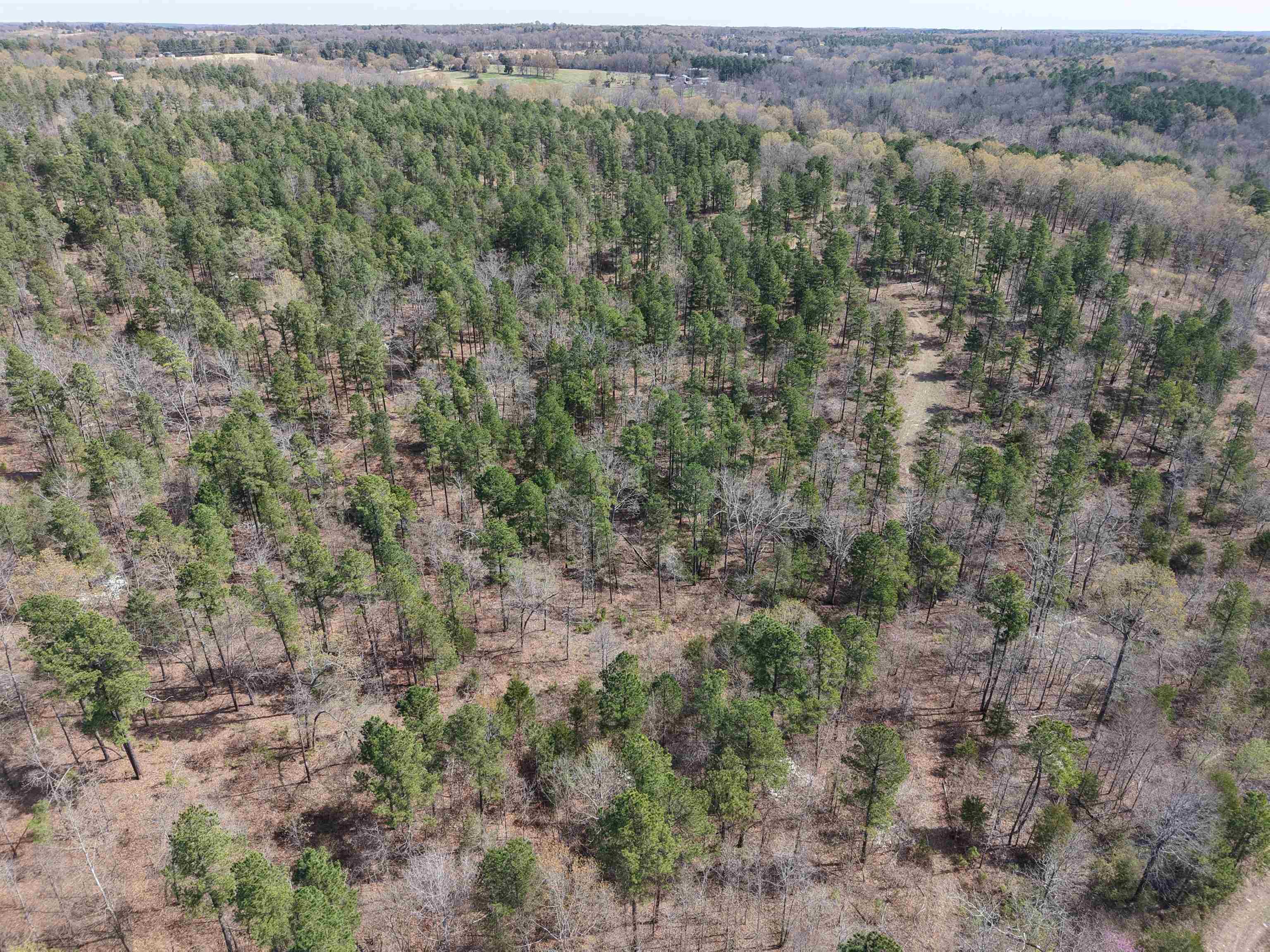 1433 Chapel Hill Road Brockwell, AR 72517