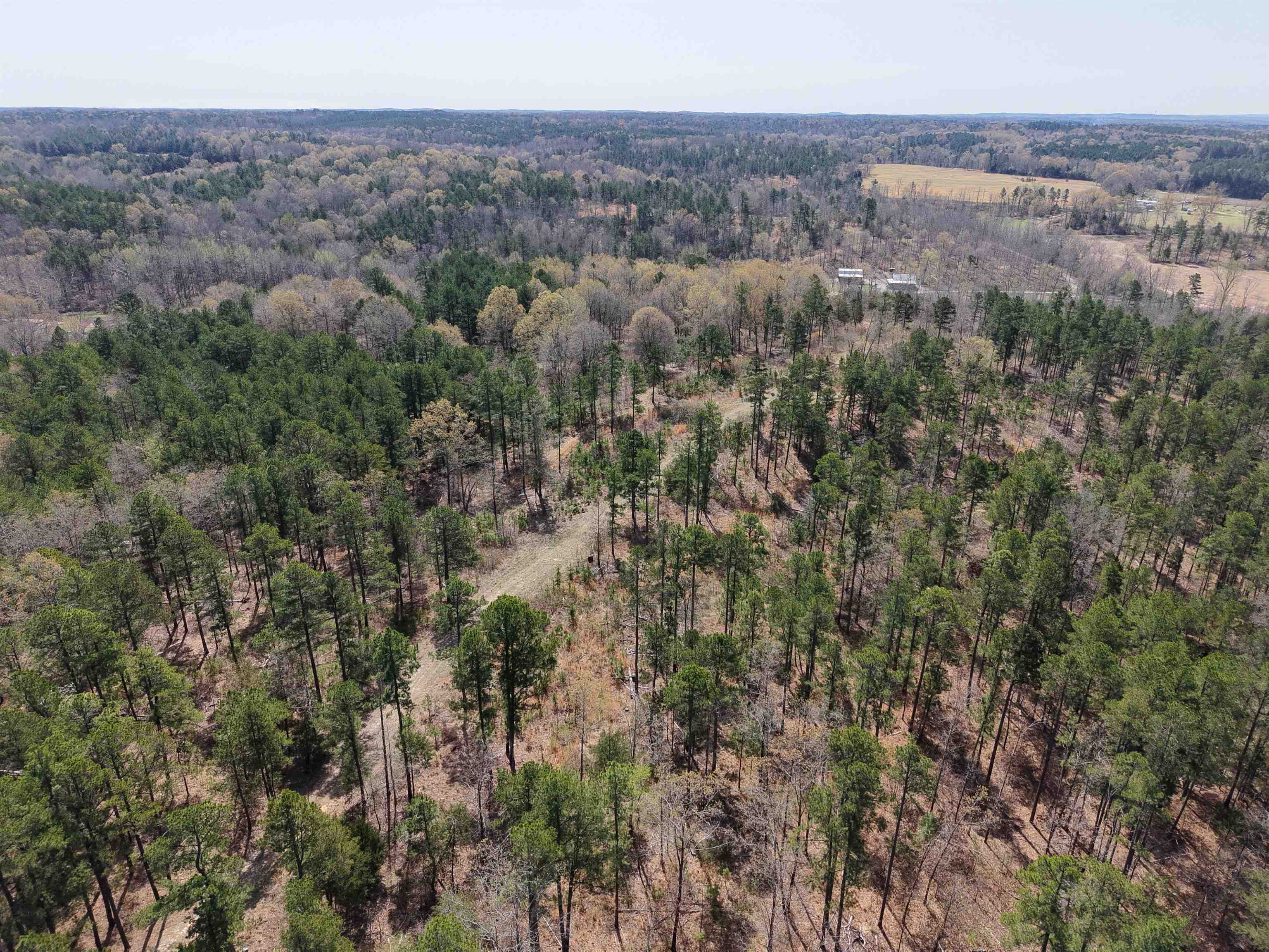 1433 Chapel Hill Road Brockwell, AR 72517