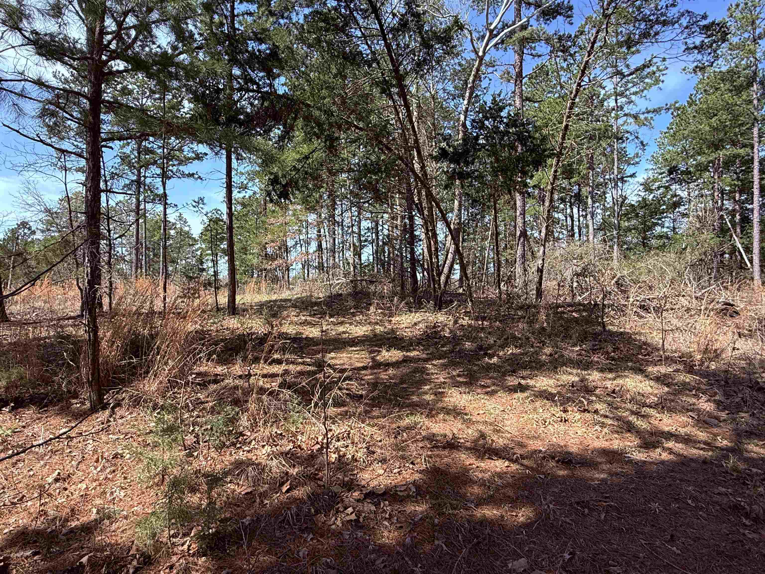 1433 Chapel Hill Road Brockwell, AR 72517