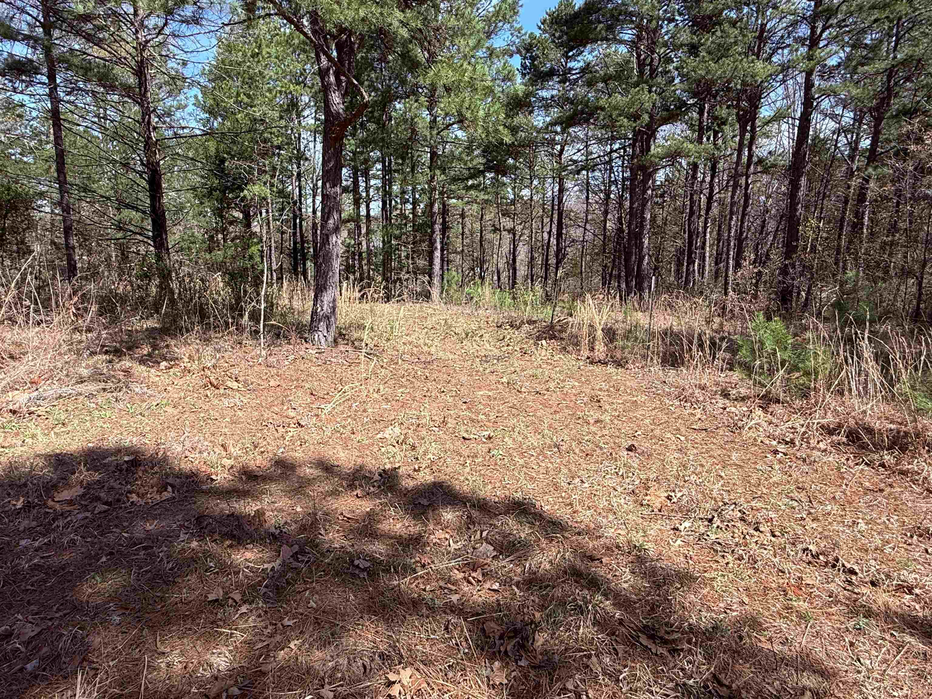 1433 Chapel Hill Road Brockwell, AR 72517