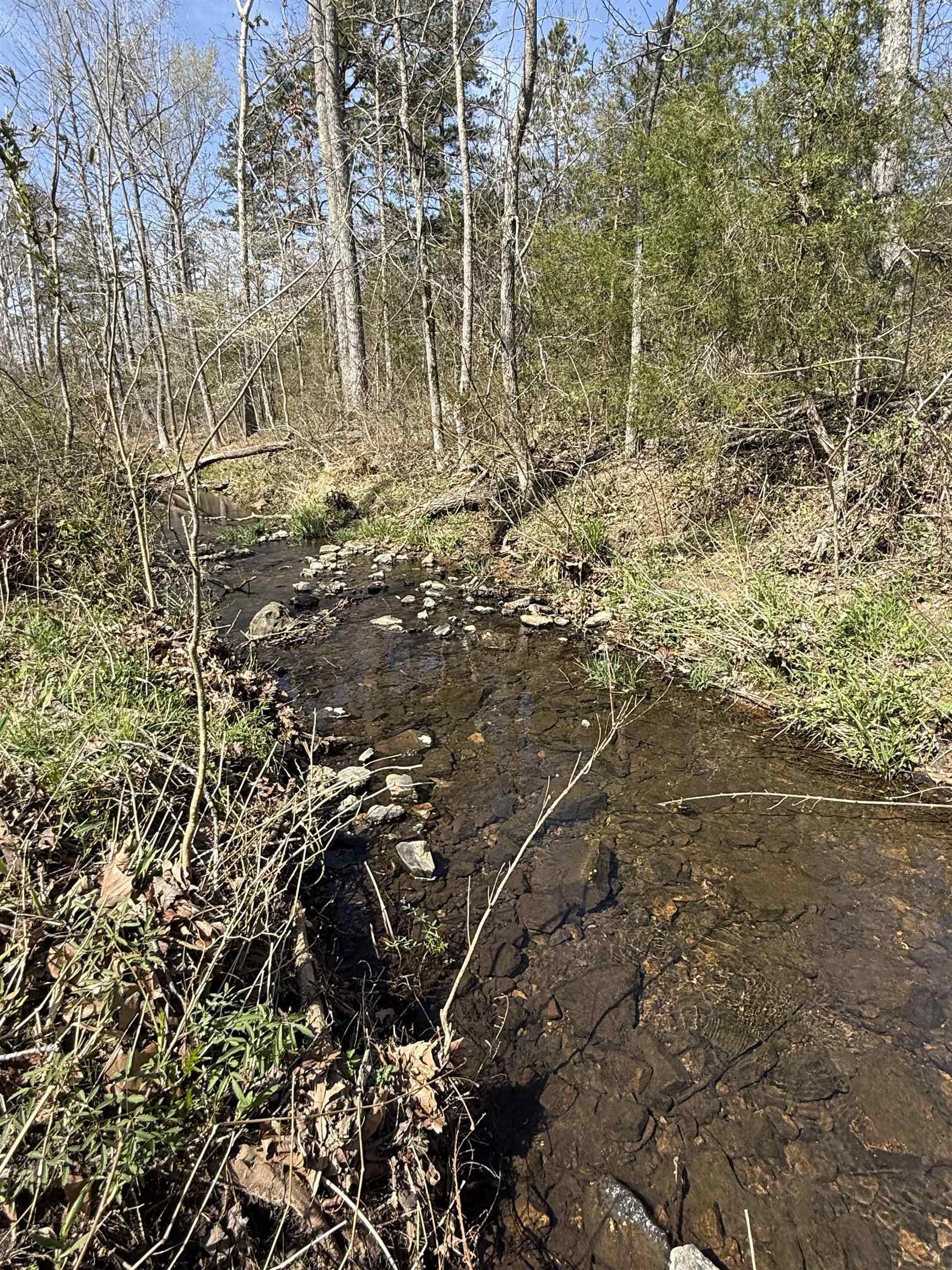 1433 Chapel Hill Road Brockwell, AR 72517