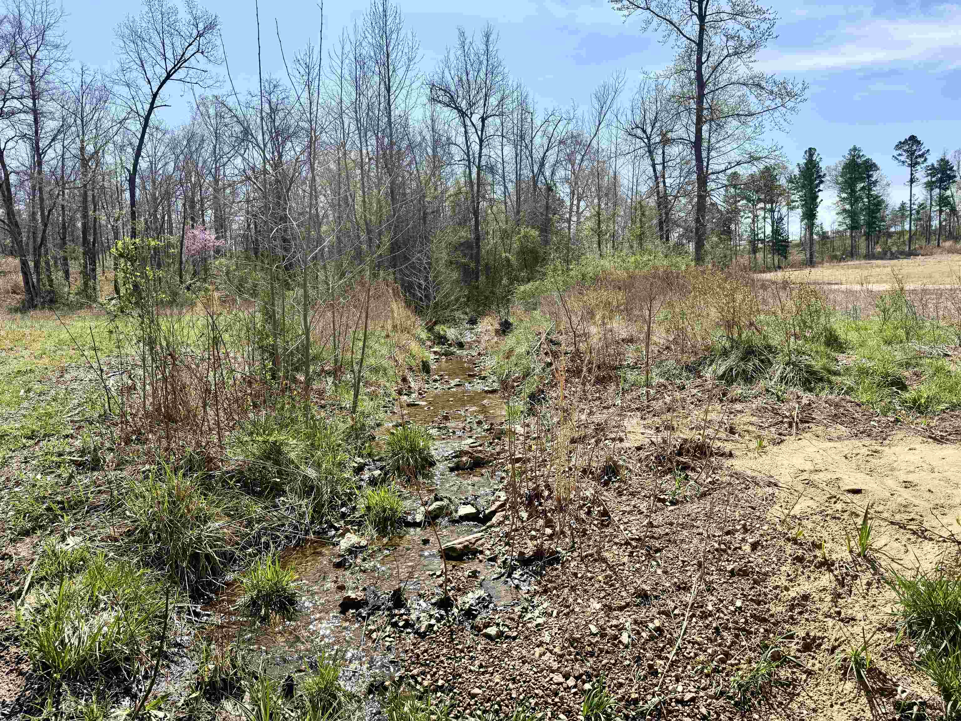 1433 Chapel Hill Road Brockwell, AR 72517