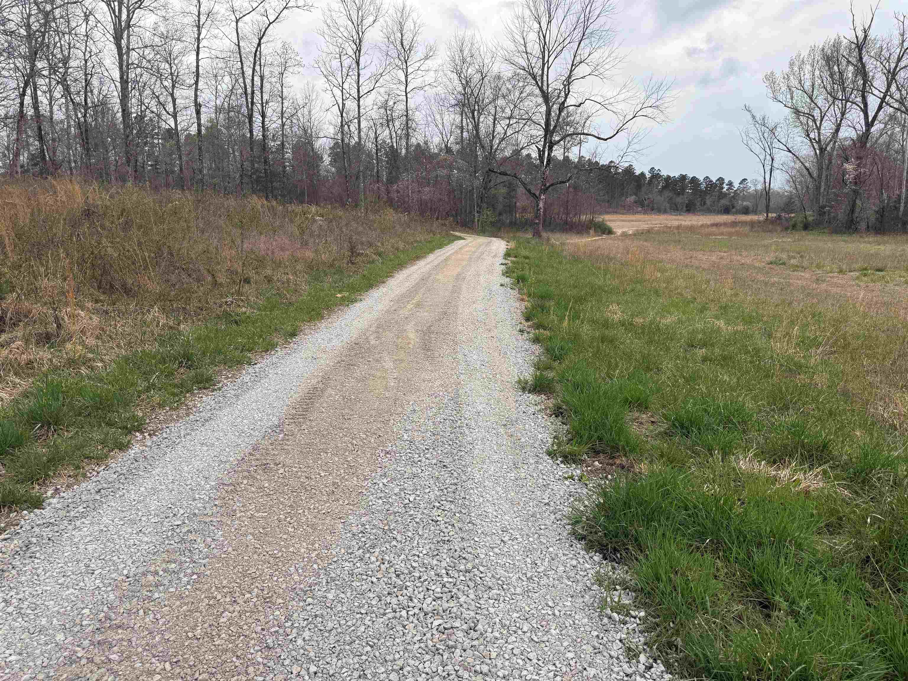 1433 Chapel Hill Road Brockwell, AR 72517