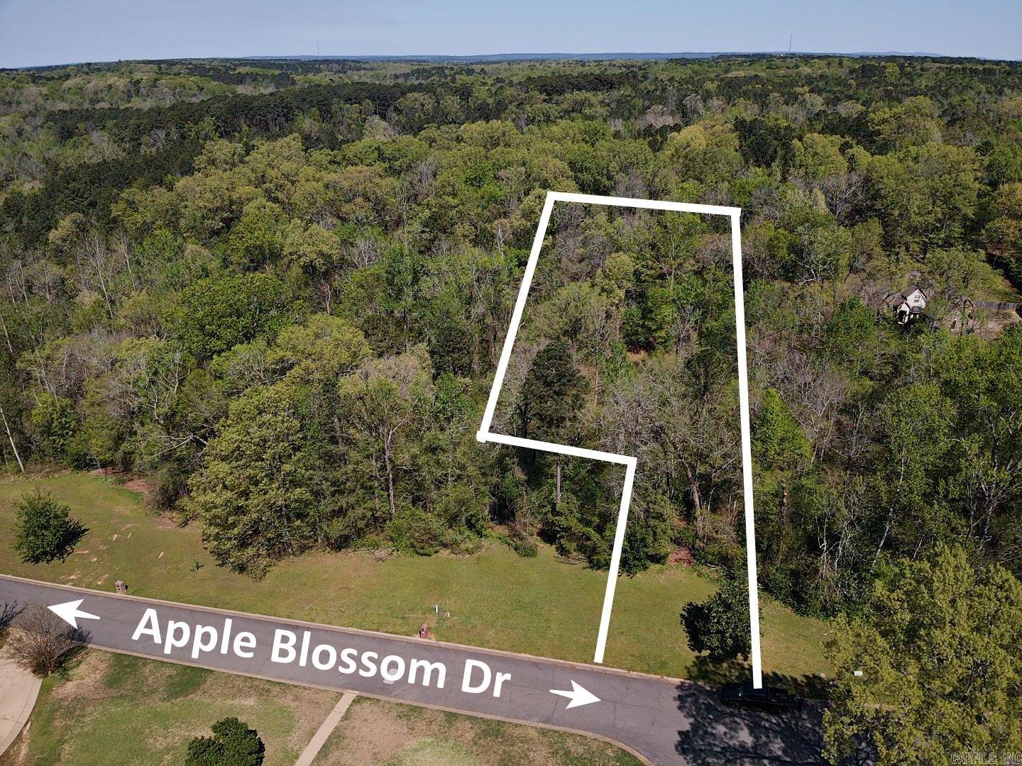 Lot 59  Apple Blossom  Arkadelphia, AR