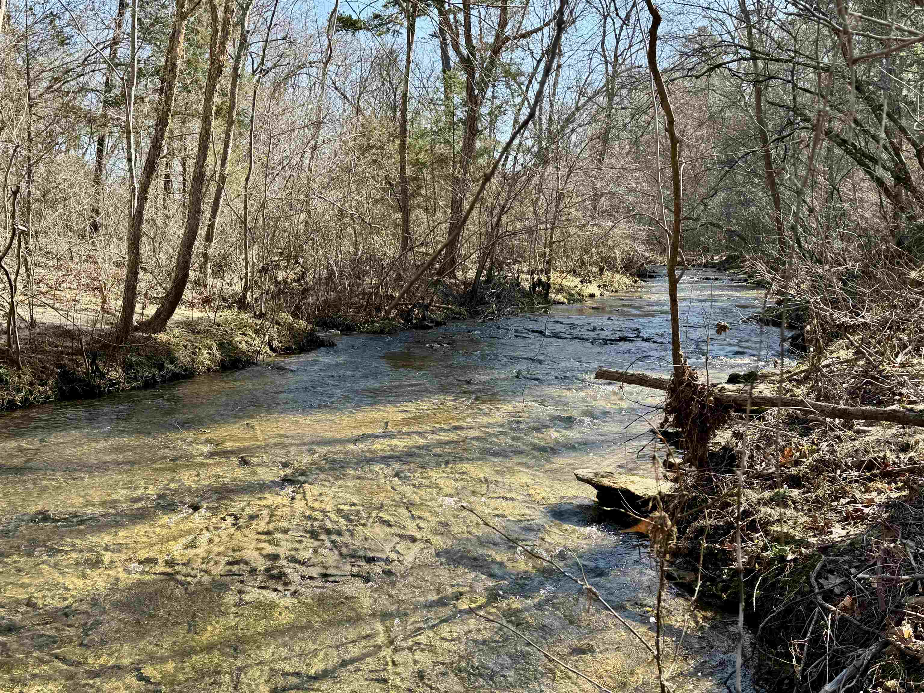 3  Rose Trail  Melbourne, AR