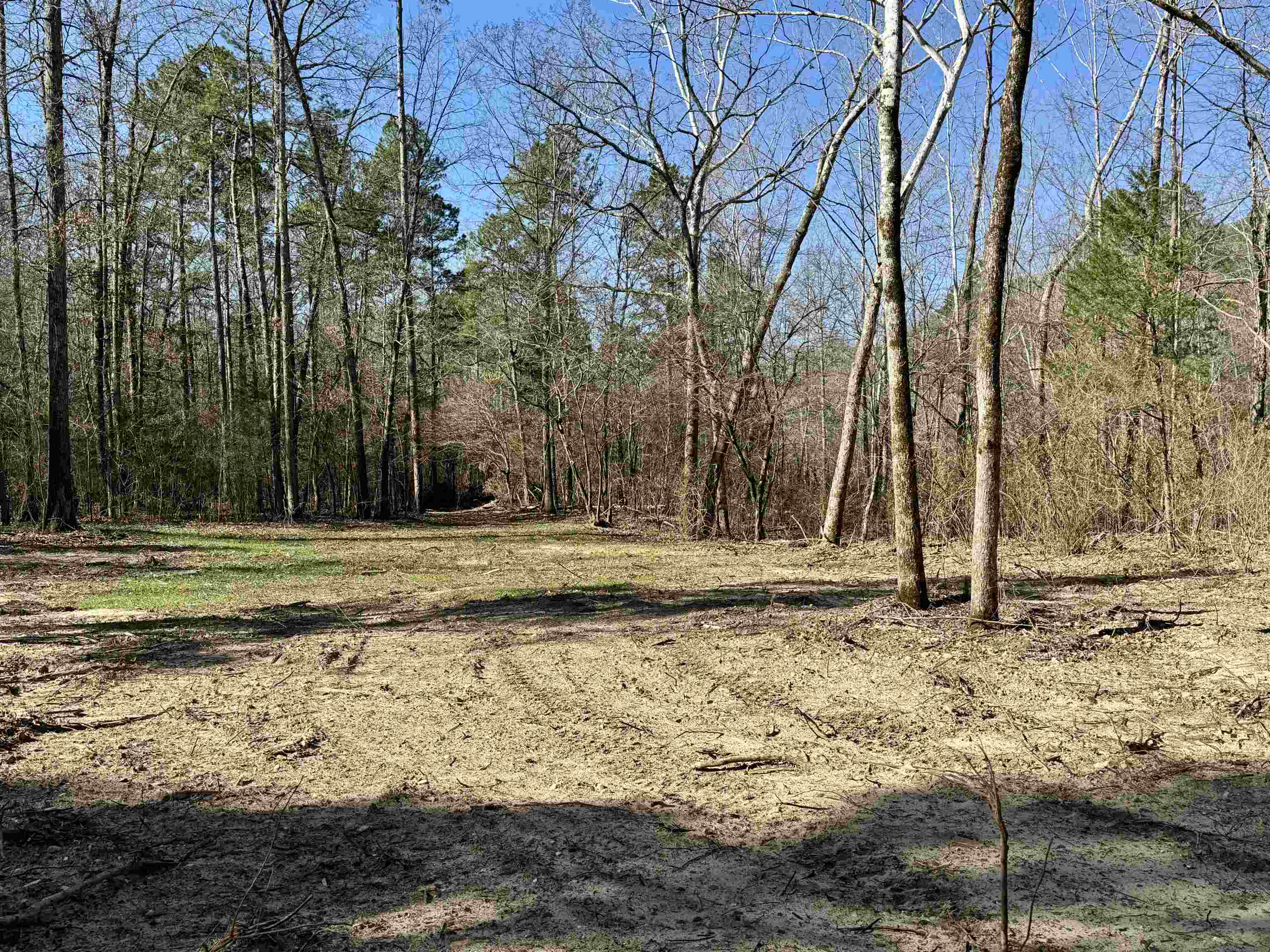 3 Rose Trail  Melbourne, AR