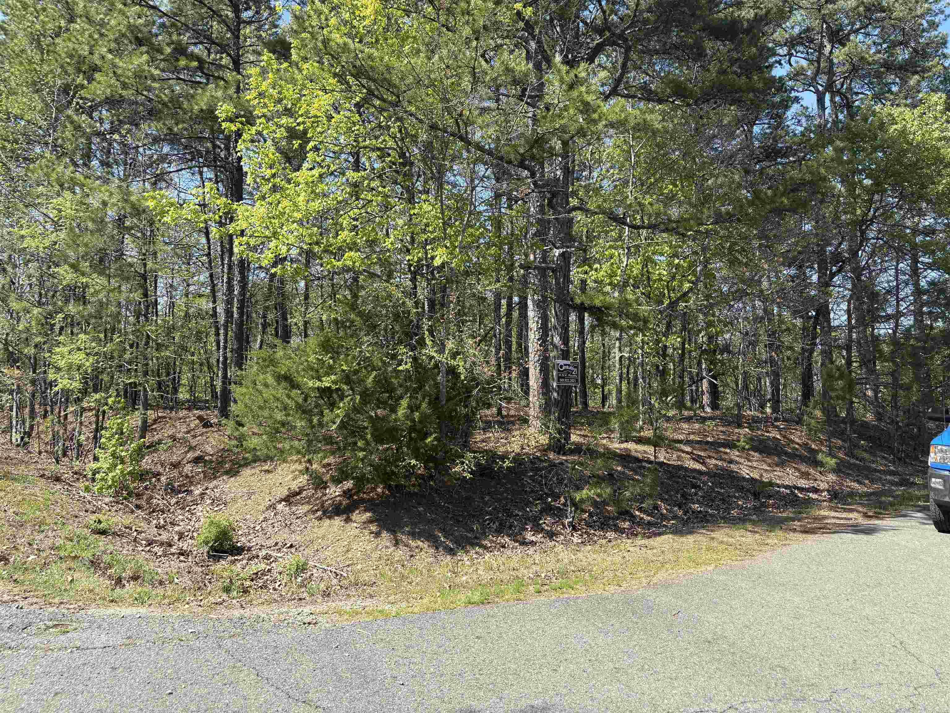 30  Lindo  Hot Springs Village, AR