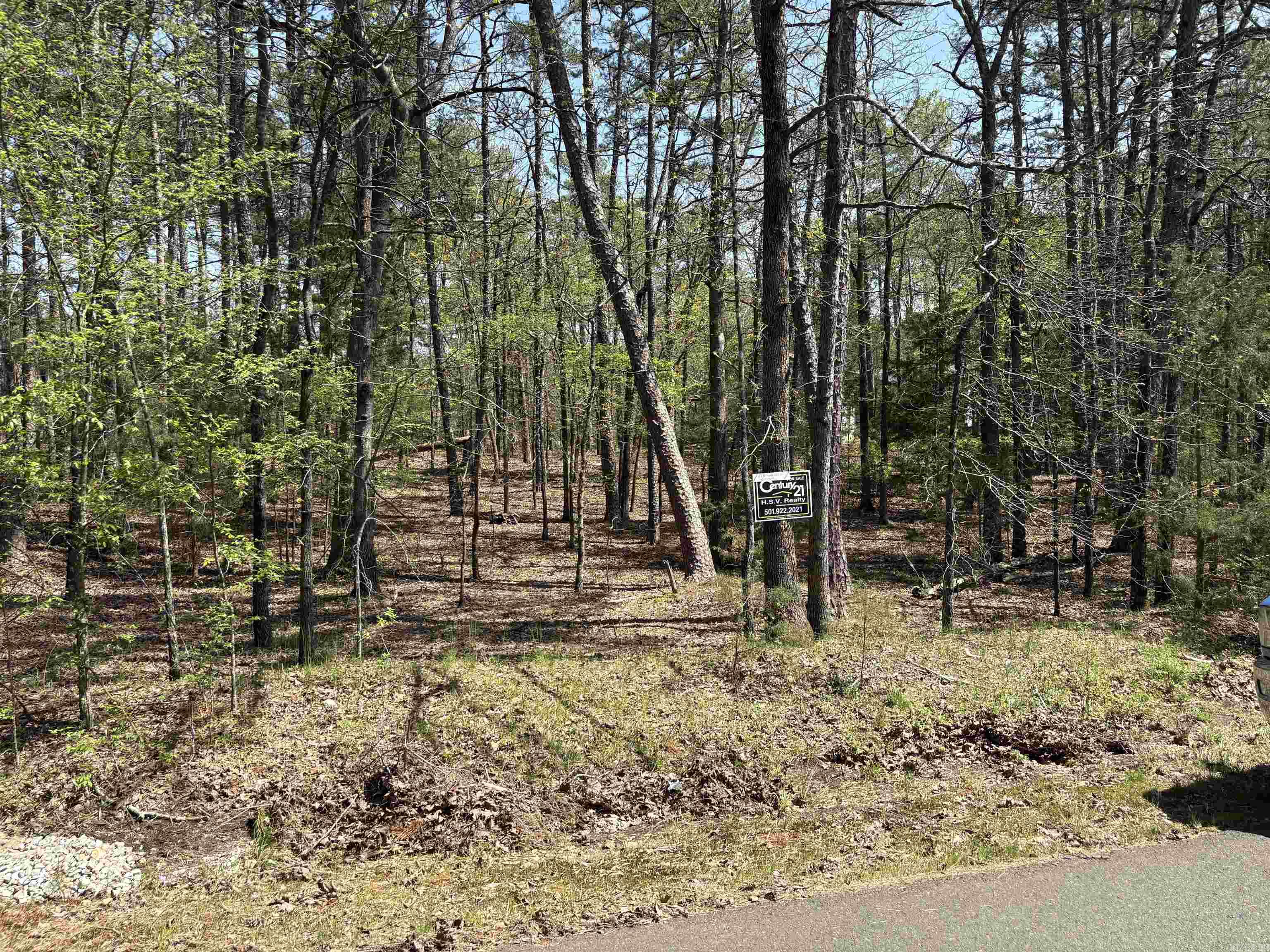25  Ferdinand Way  Hot Springs Village, AR