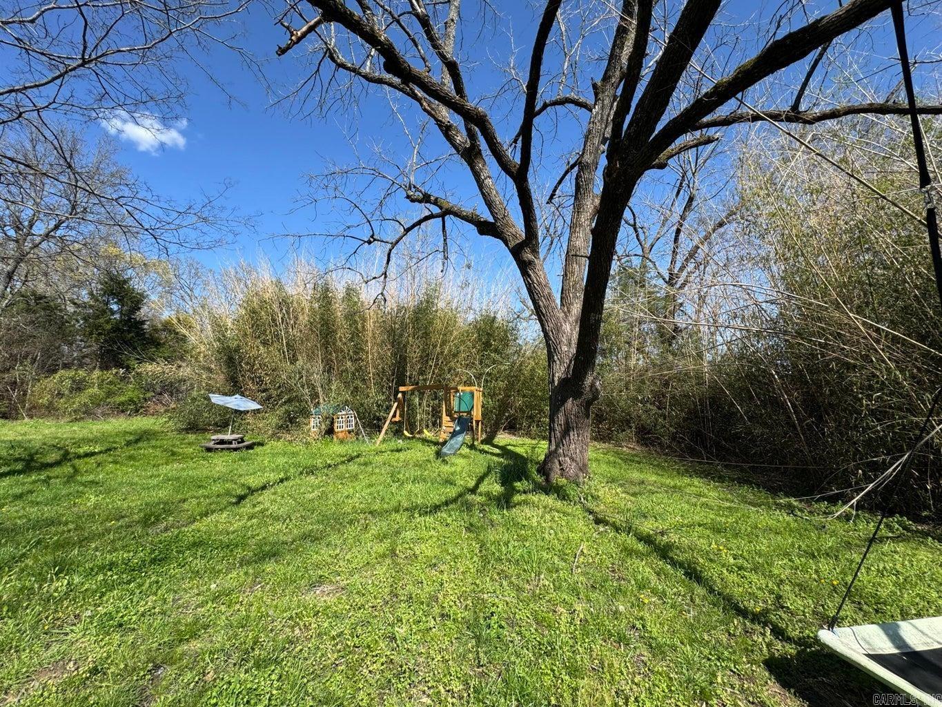 95  Terrafirma  Ash Flat, AR