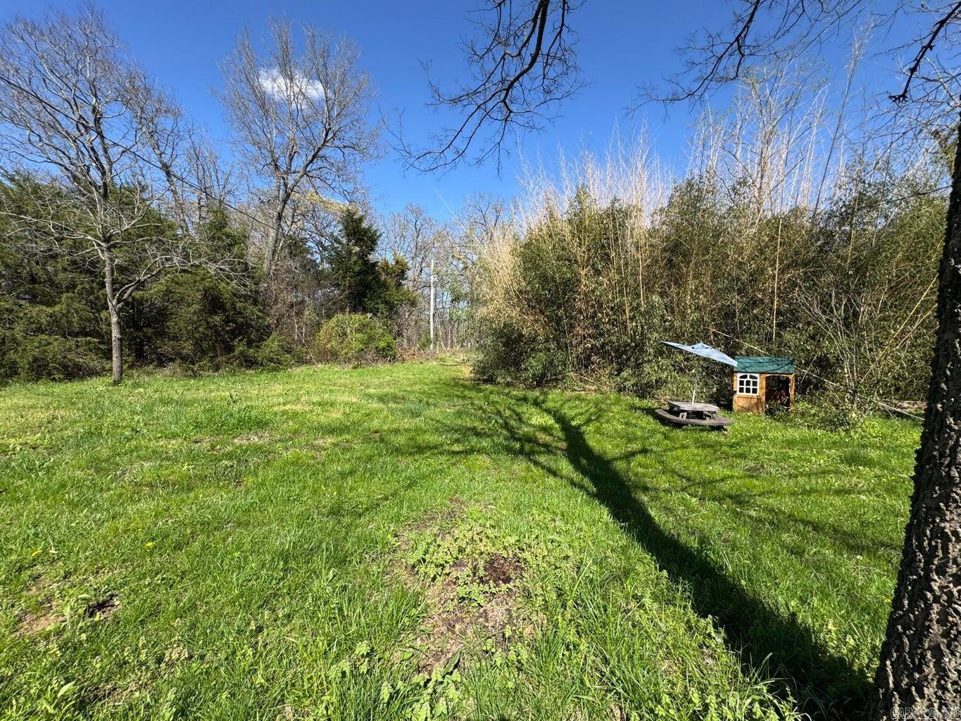 95  Terrafirma  Ash Flat, AR