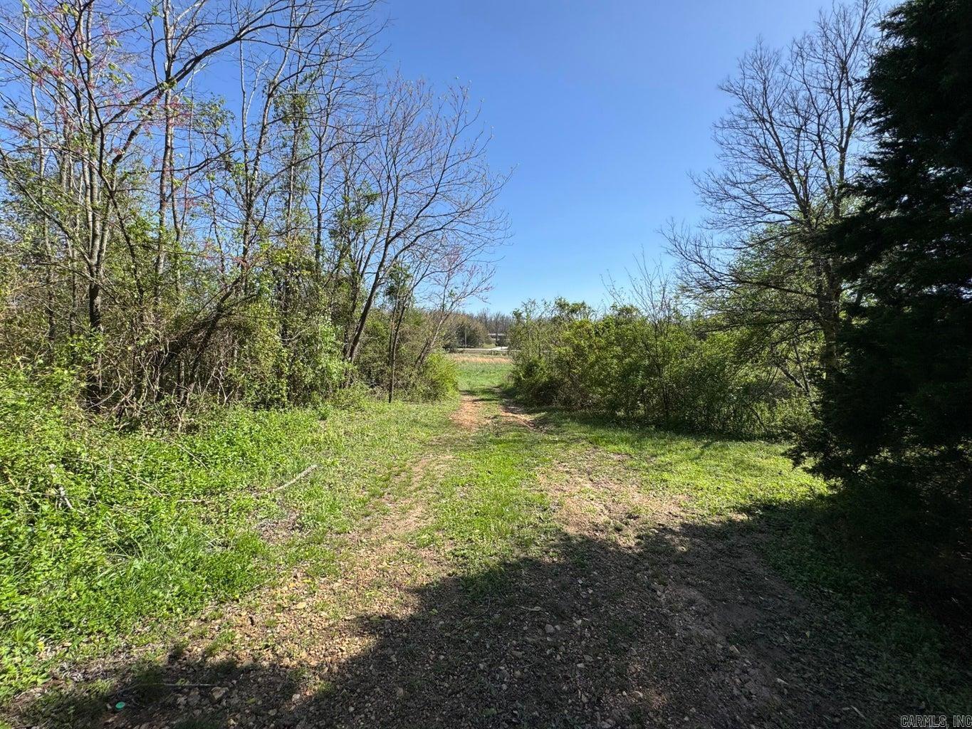 95  Terrafirma  Ash Flat, AR