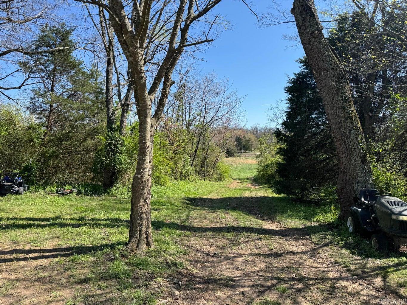 95  Terrafirma  Ash Flat, AR