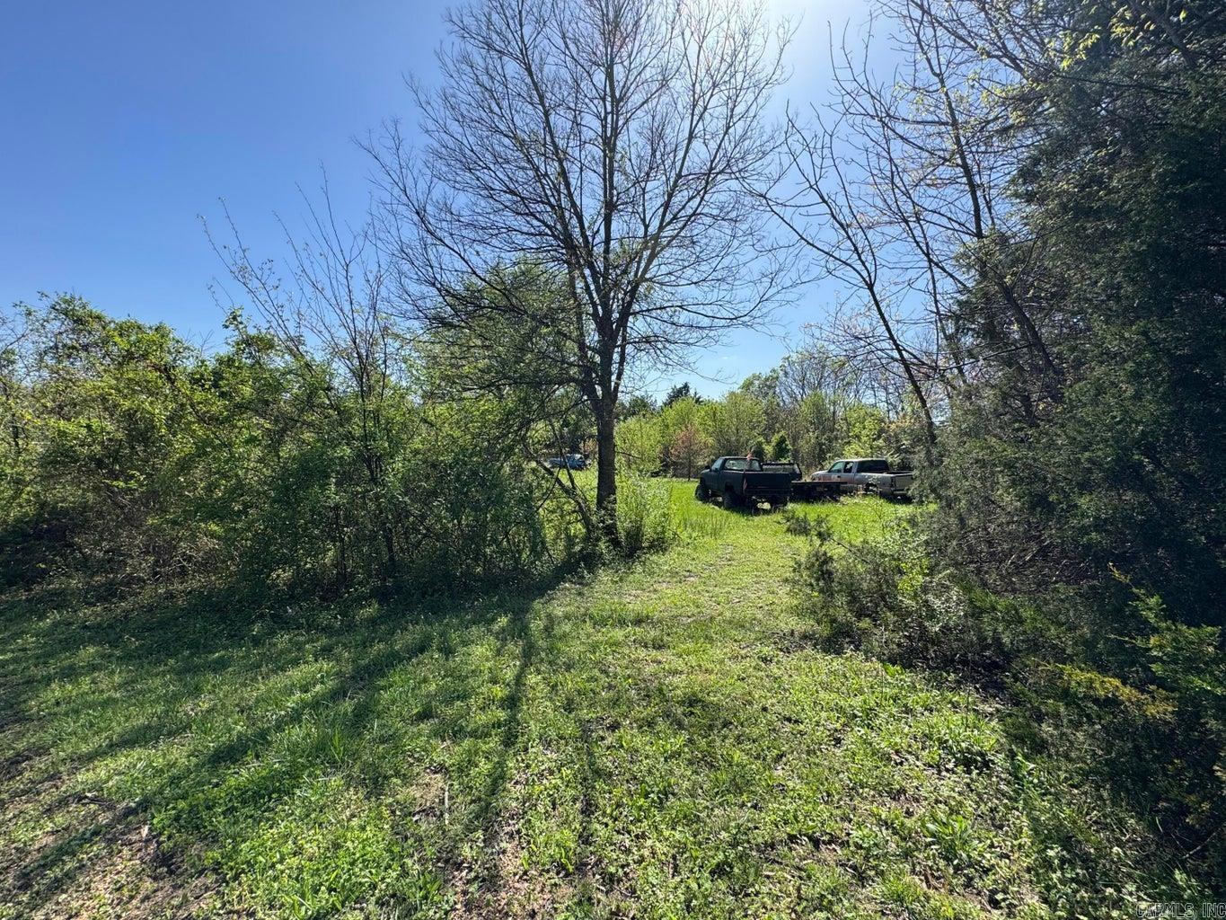 95  Terrafirma  Ash Flat, AR