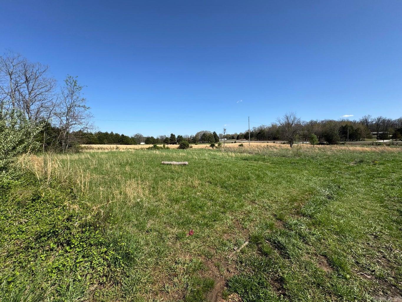 95  Terrafirma  Ash Flat, AR