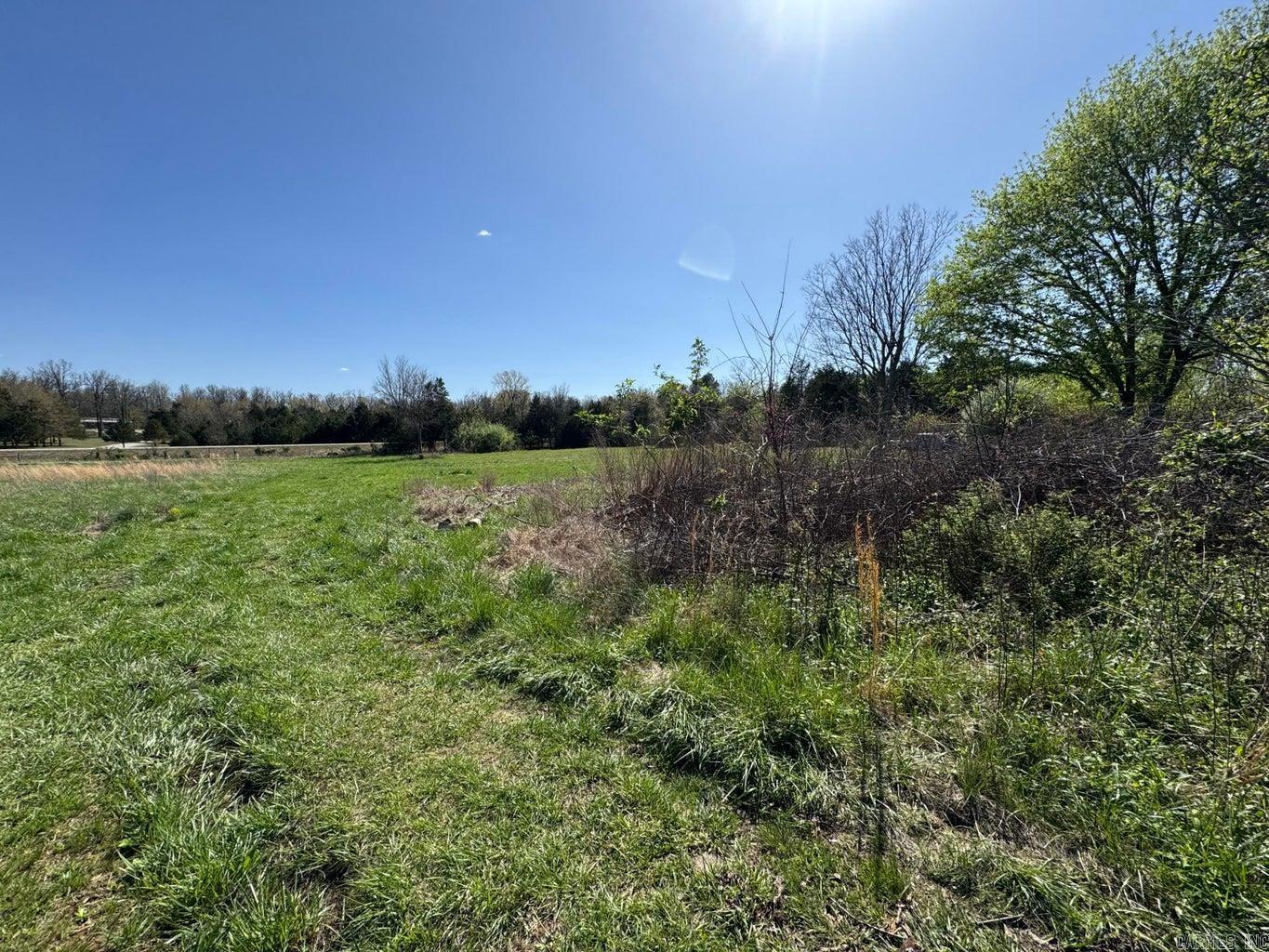 95  Terrafirma  Ash Flat, AR