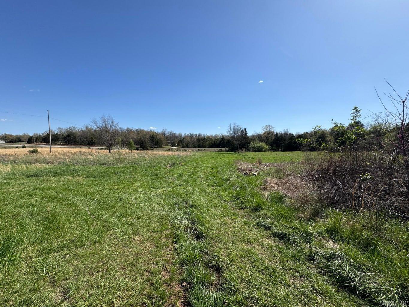 95  Terrafirma  Ash Flat, AR