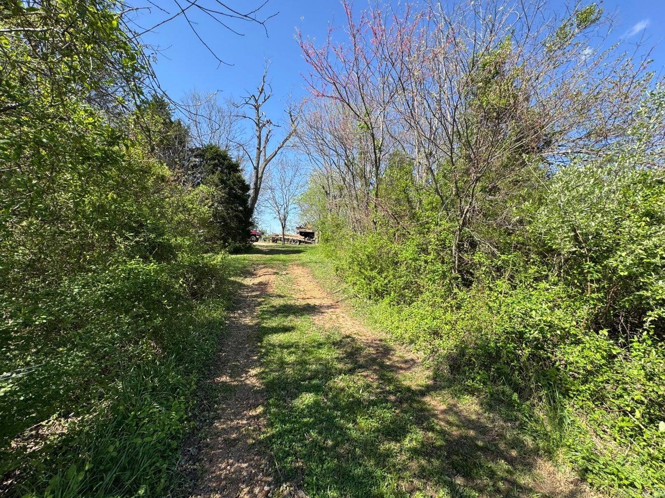 95  Terrafirma  Ash Flat, AR