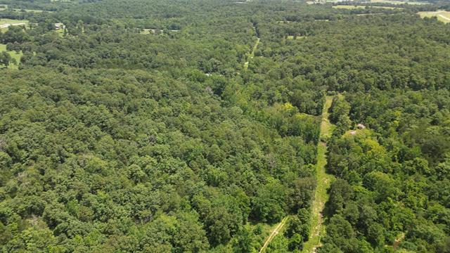 881  Driftwood Drive  Pineville, AR