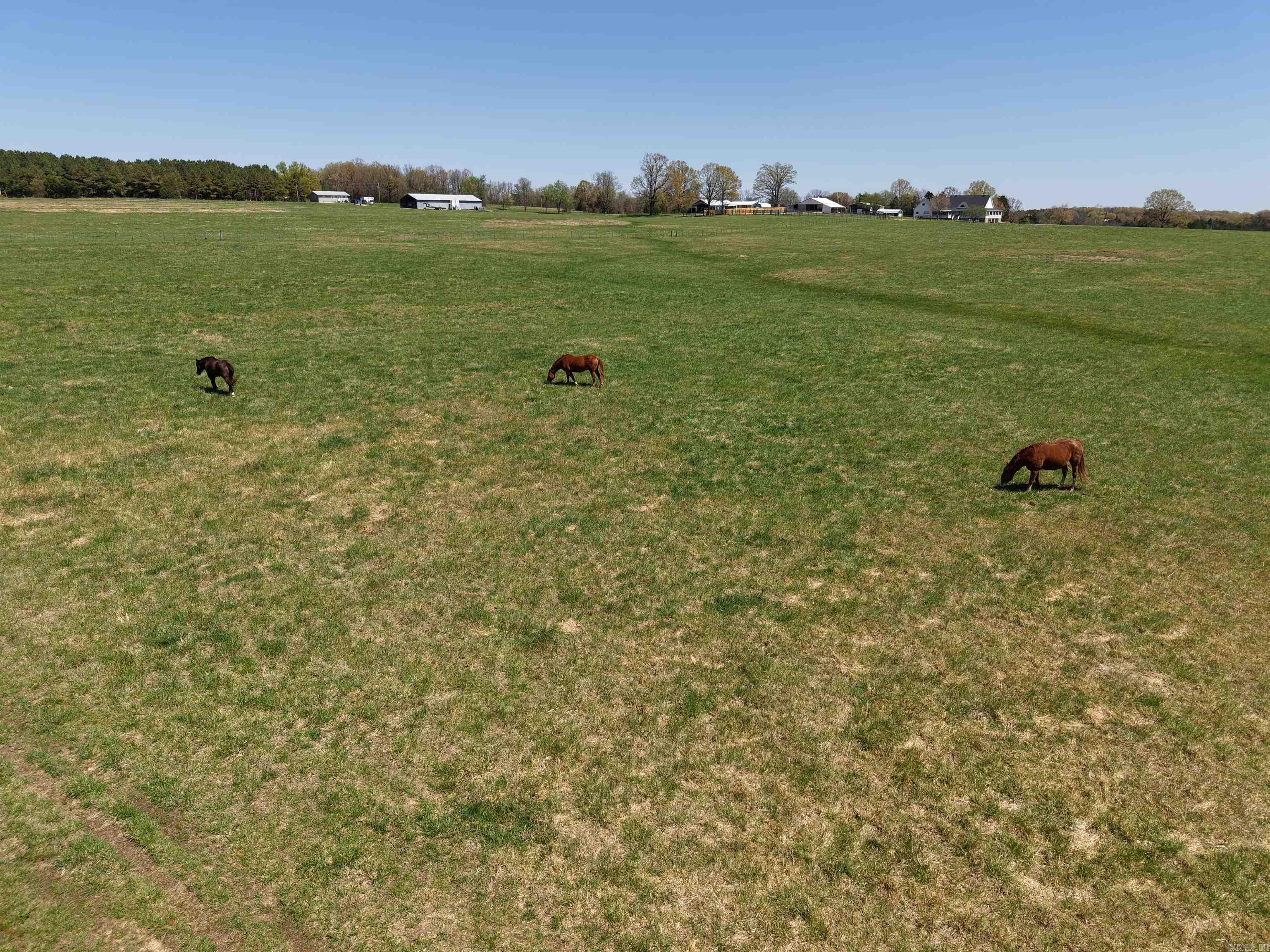 2832  Lacrosse Road  Melbourne, AR