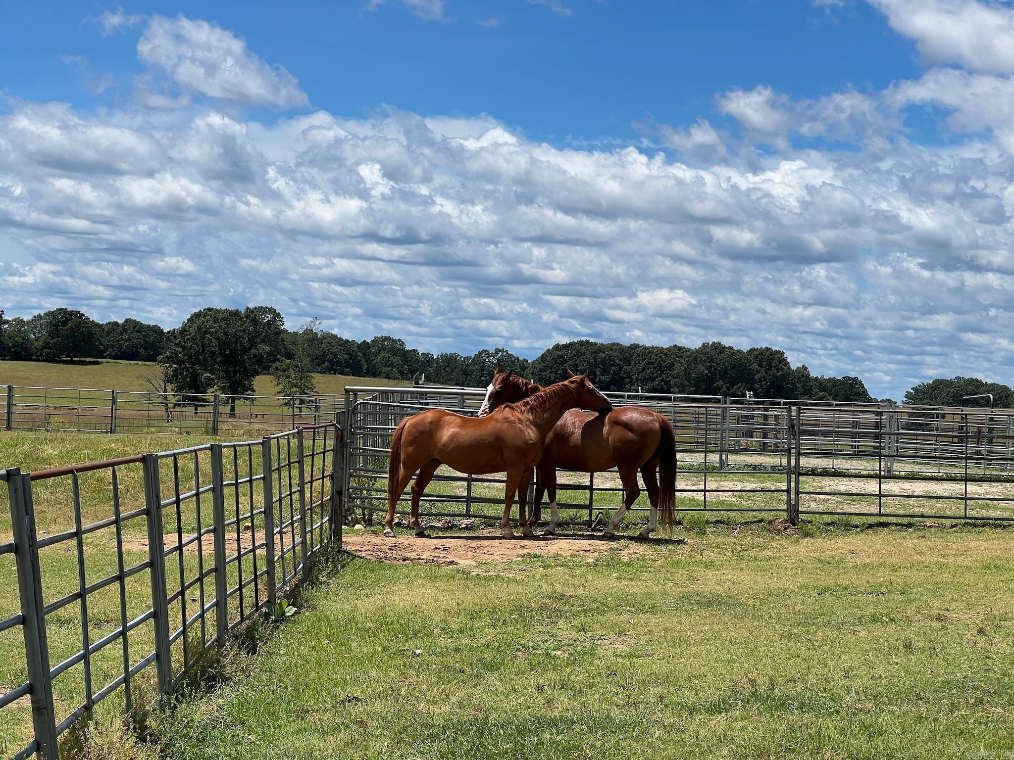 2832  Lacrosse Road  Melbourne, AR