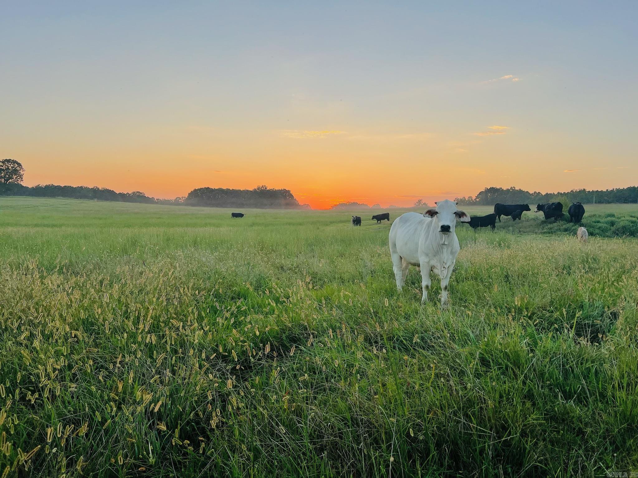 2832  Lacrosse Road  Melbourne, AR