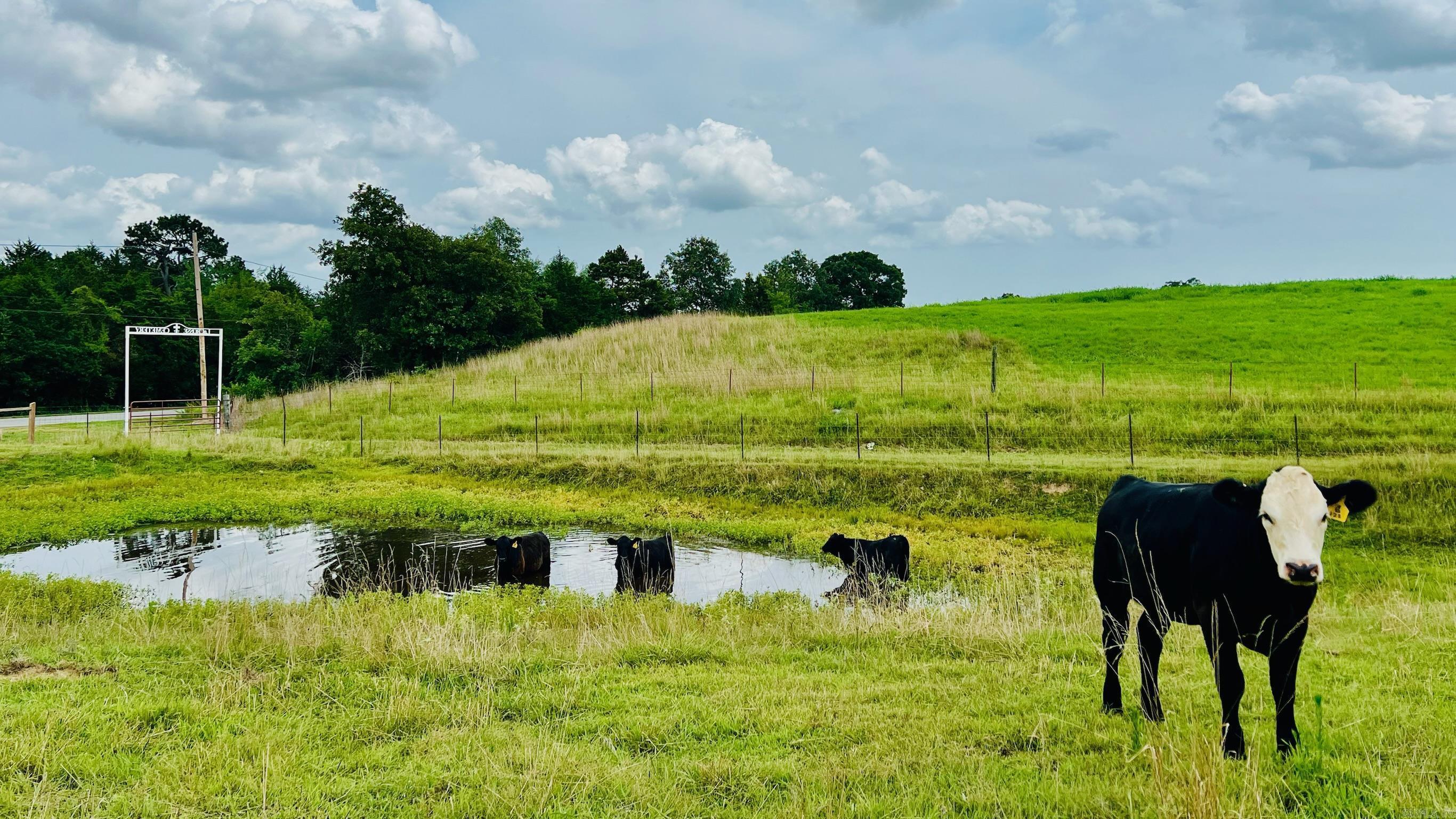 2832  Lacrosse Road  Melbourne, AR