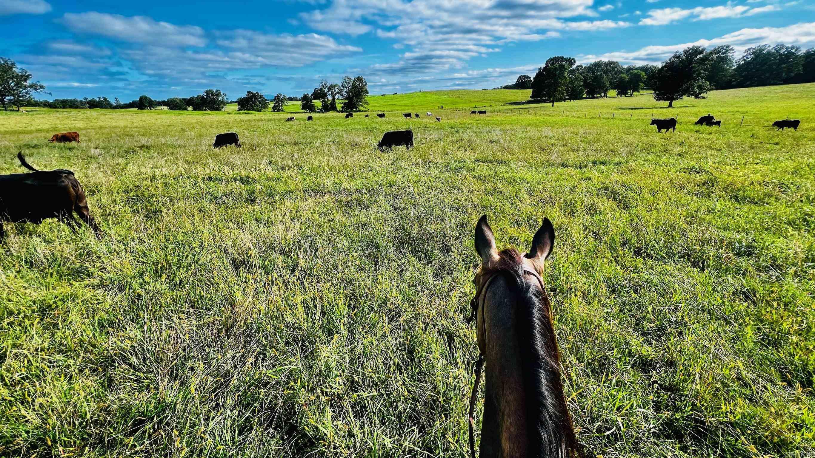 2832  Lacrosse Road  Melbourne, AR